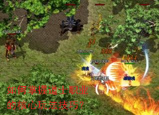 ������յ�ʿְҵ�ĺ����淨���ɣ�