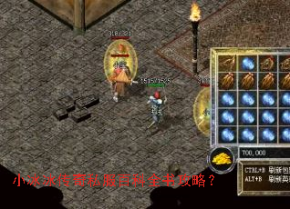 С��������˽���ٿ�ȫ�鹥�ԣ�