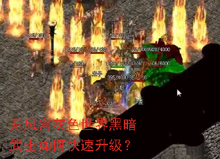 �޷繬��ɫ����ڰ���ʿ��ο���������