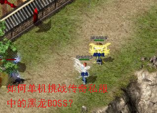 ��ε�����ս����˽���еĺ���BOSS��