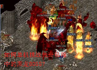 ��ε�����ս����˽���еĺ���BOSS��