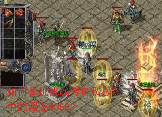 ��ε�����ս����˽���еĺ���BOSS��