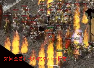 ��β鿴����GM��Script��־��