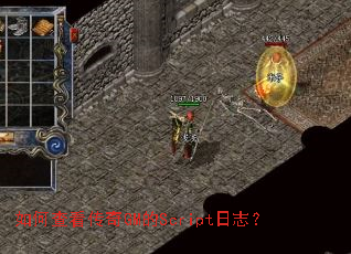 ��β鿴����GM��Script��־��