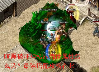 �����ƻ���˽������������ôѡ����ǿ���乥���ڴ�