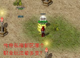 ����˽�������ĸ�ְҵ�淨���䣿
