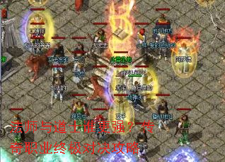 ��ʦ���ʿ˭��ǿ������ְҵ�ռ��Ծ�����