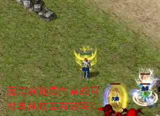ħ������������ֻ�Ե��幥����Ч��