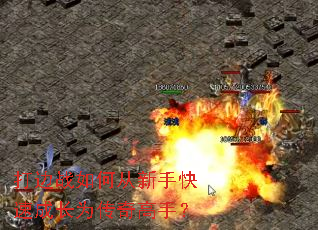 ���ս��δ����ֿ��ٳɳ�Ϊ������֣�