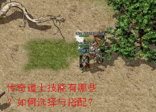 �����ʿ��������Щ�����ѡ������䣿