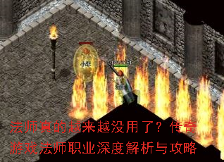 ��ʦ���Խ��Խû���ˣ�������Ϸ��ʦְҵ��Ƚ����빥��