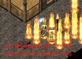 ��ʦ���Խ��Խû���ˣ�������Ϸ��ʦְҵ��Ƚ����빥��