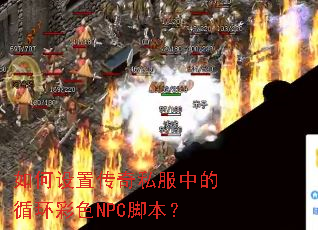 ������ô���˽���е�ѭ����ɫNPC�ű���