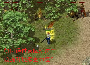 ���ͨ���츳�淨��Ч�����������ֵ��