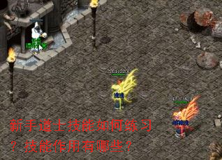 ���ֵ�ʿ���������ϰ��������������Щ��