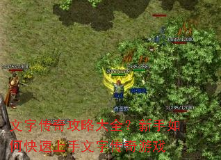 ���ִ��湥�Դ�ȫ��������ο����������ִ�����Ϸ