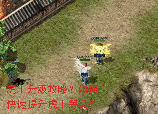 虎王升级攻略?如何快速提升虎王等级? 虎王升级攻略?如何快速提升虎王等级?