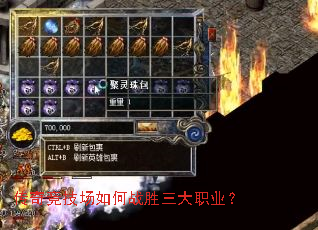 ���澺�������սʤ����ְҵ��