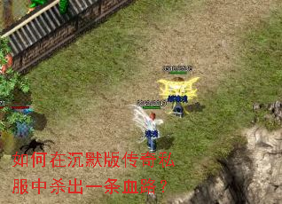 ����ڳ�Ĭ�洫��˽����ɱ��һ��Ѫ·��