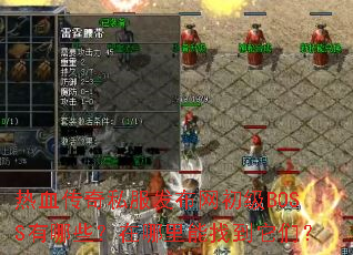 ��Ѫ����˽������������BOSS����Щ�����������ҵ����ǣ�