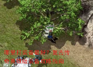 �����װ����ã����Ŵ���Ӣ�۰�װ������ָ��