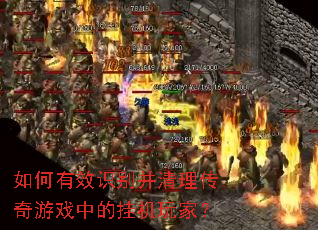�����Чʶ������������Ϸ�еĹһ���ң�