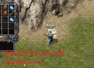 ��ְҵ����˽������θ�Ч��սboss��