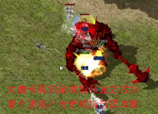 ����ר�������ָ����֮��ָ�ĸ���ǿ�������ָѡ����