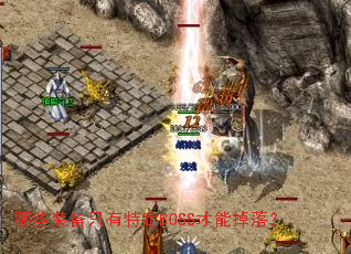 ��Щװ��ֻ���ض�BOSS���ܵ��䣿