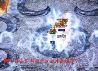 ��Щװ��ֻ���ض�BOSS���ܵ��䣿