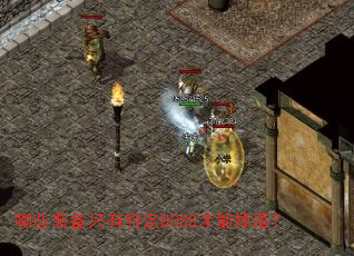 ��Щװ��ֻ���ض�BOSS���ܵ��䣿