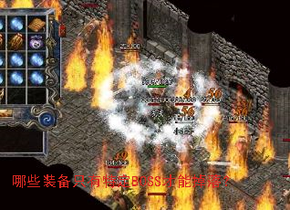 ��Щװ��ֻ���ض�BOSS���ܵ��䣿