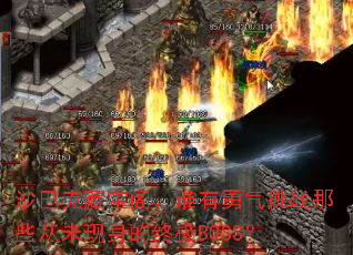 ɳ�Ϳ˲ر���˭��������ս��Щ��δ�������ռ�BOSS��