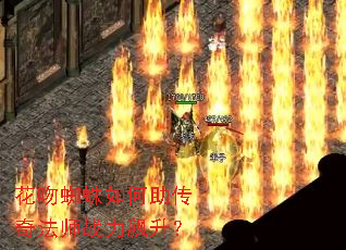 ����֩����������淨ʦս�������