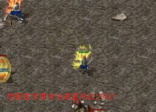 想要在传奇中快速提升战力吗? 想要在传奇中快速提升战力吗?