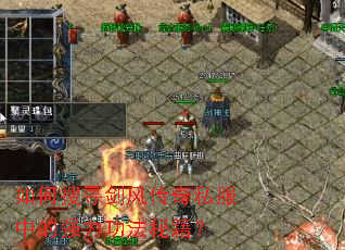 如何搜寻剑风传奇私服中的强力功法秘籍? 如何搜寻剑风传奇私服中的强力功法秘籍?