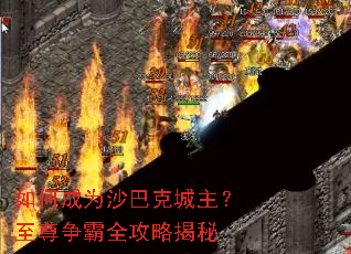 ��γ�Ϊɳ�Ϳ˳�������������ȫ���Խ���