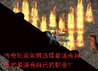 ����������ѡ�����ʺ��Լ������ʺ��Լ���ְҵ��