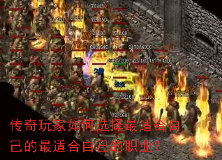 ����������ѡ�����ʺ��Լ������ʺ��Լ���ְҵ��