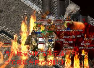 ����������ѡ�����ʺ��Լ������ʺ��Լ���ְҵ��