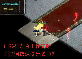 1.95�����ϻ�����������ο�������ս����