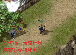 ��νҿ������������ص��ռ����ܣ�