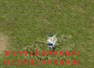 ���Ŵ�����ְҵPK��ʤ�ؾ���սʿ��ʦ��ʿ��θ�����ͨ��