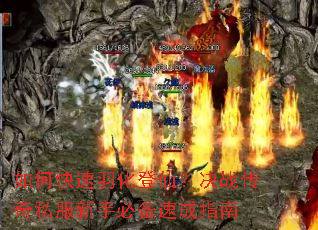 ��ο����𻯵��ɣ���ս����˽�����ֱر��ٳ�ָ��