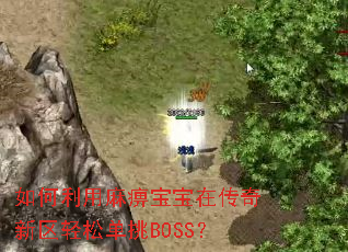 ���������Ա����ڴ����������ɵ���BOSS��