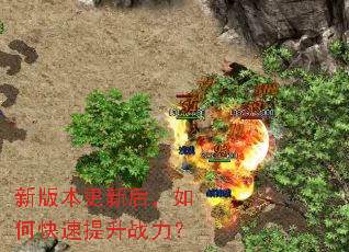 �°汾���º���ο�������ս����