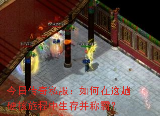 ���մ���˽�������������Ӳ���ó������沢�ưԣ�