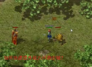 ��ο�������ս���ʶ�ɳ�ǣ�