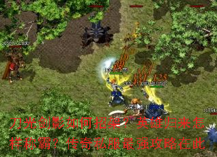 ���⽣Ӱ����мܣ�Ӣ�۹��������ưԣ�����˽����ǿ�����ڴ�