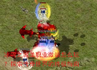 ��ѩ֮�ǵ�ְҵ΢����ô�棿̽������������ռ�ָ��